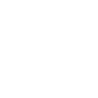 icon watches
